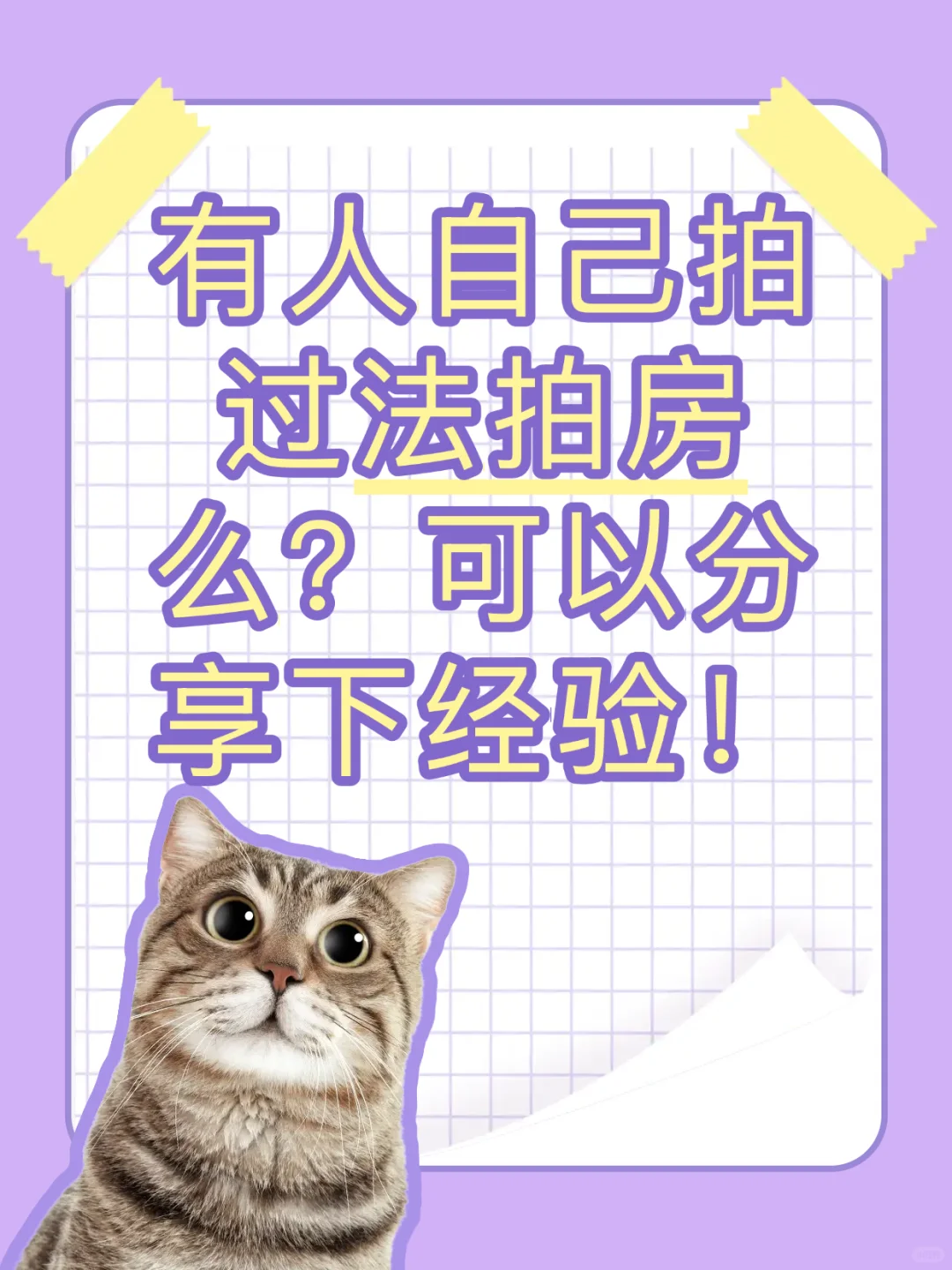 有人自己拍过法拍房么？分享贴！