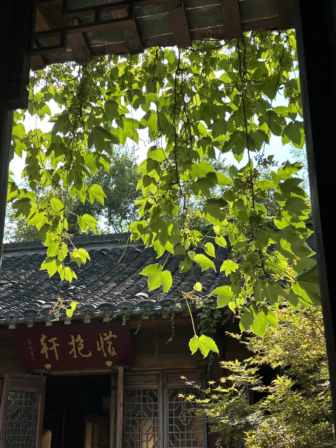 谁来南京还没去过南京挽苏旗袍我都会伤心的