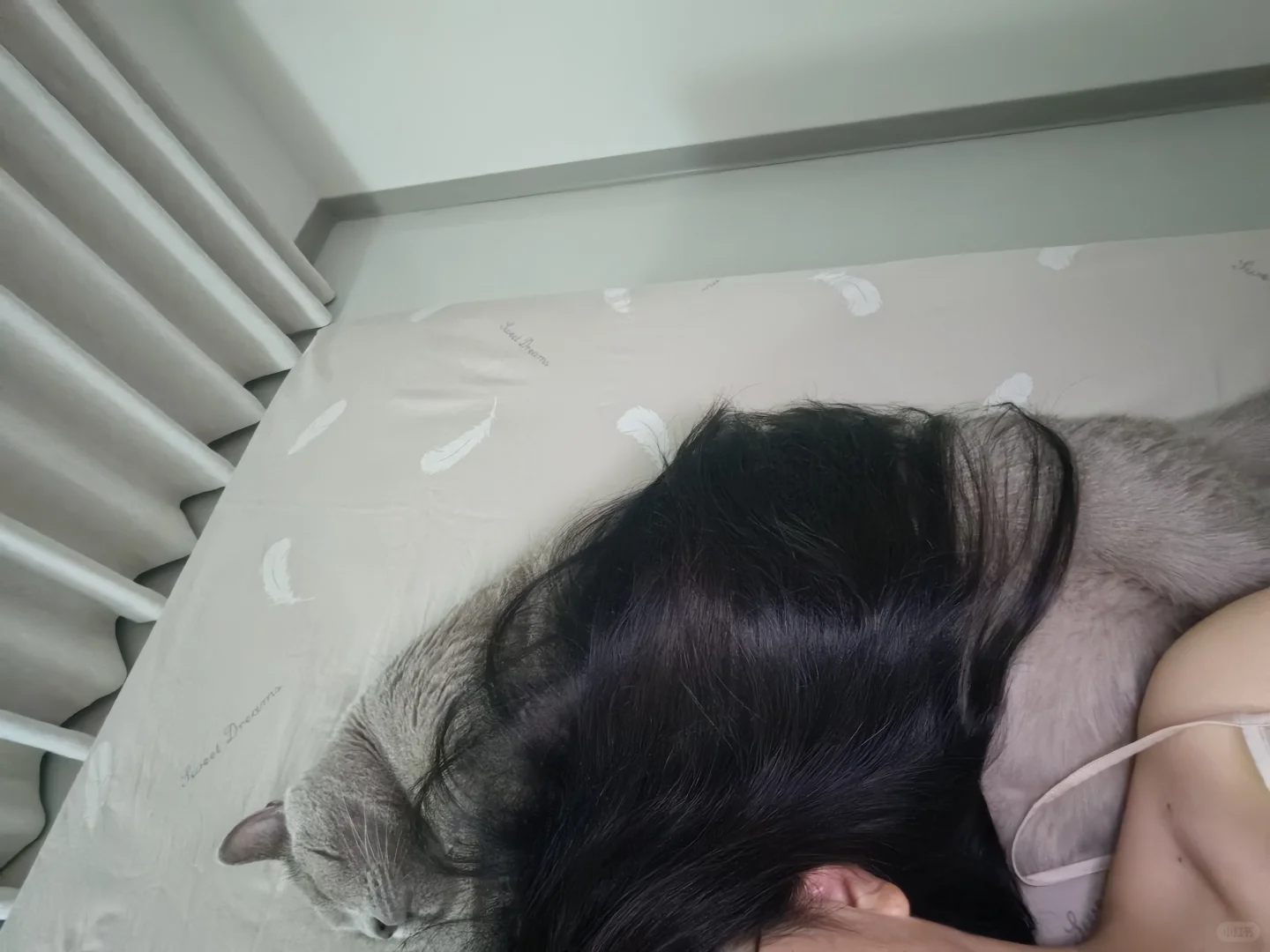 普通人的家，干干净净就是福气