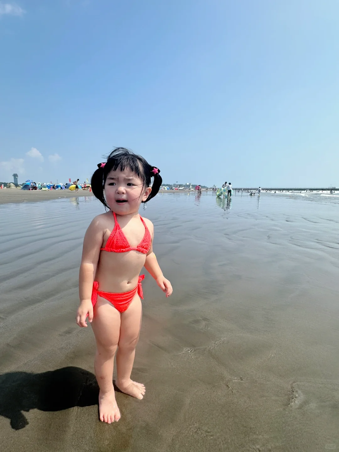 比基尼狗儿又来了👙