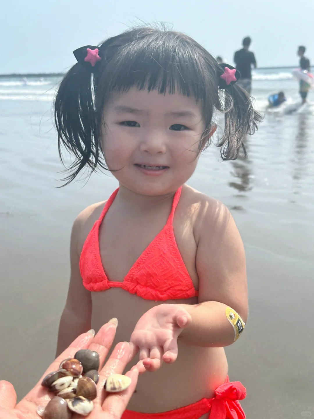 比基尼狗儿又来了👙