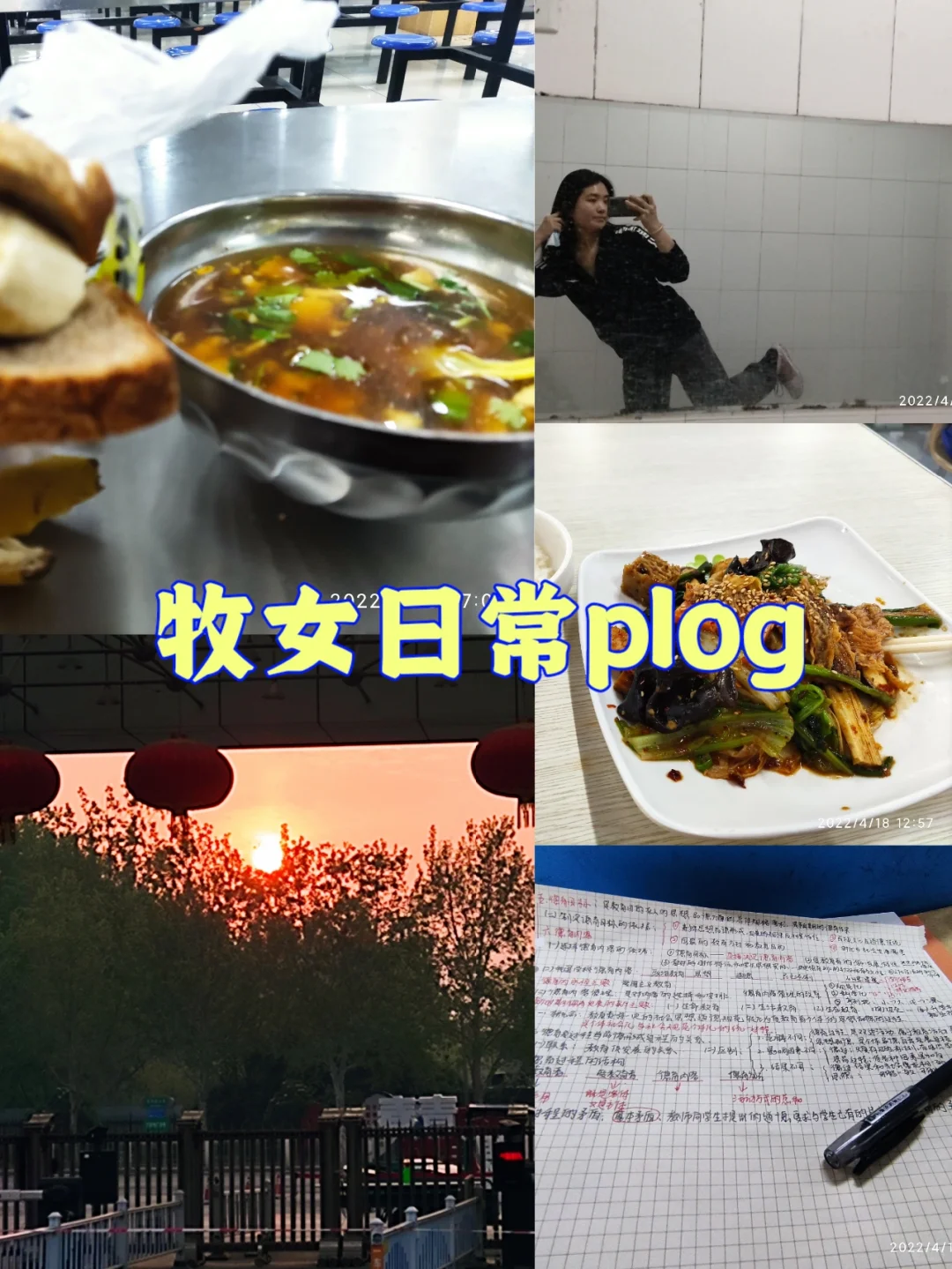牧女日常plog