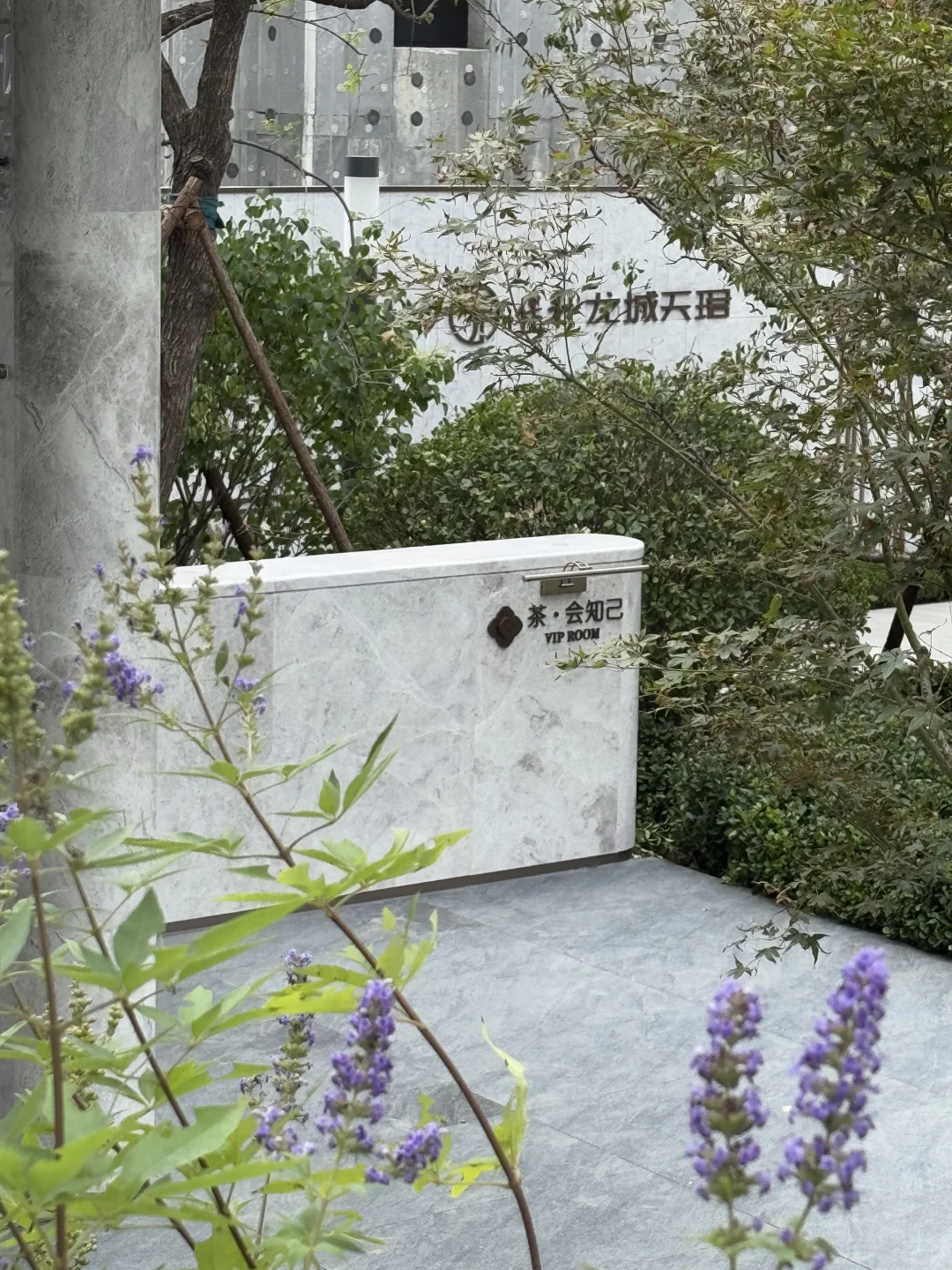 豪宅里造瀑布？5.5m星空翡翠绝了！客厅看呆🌊