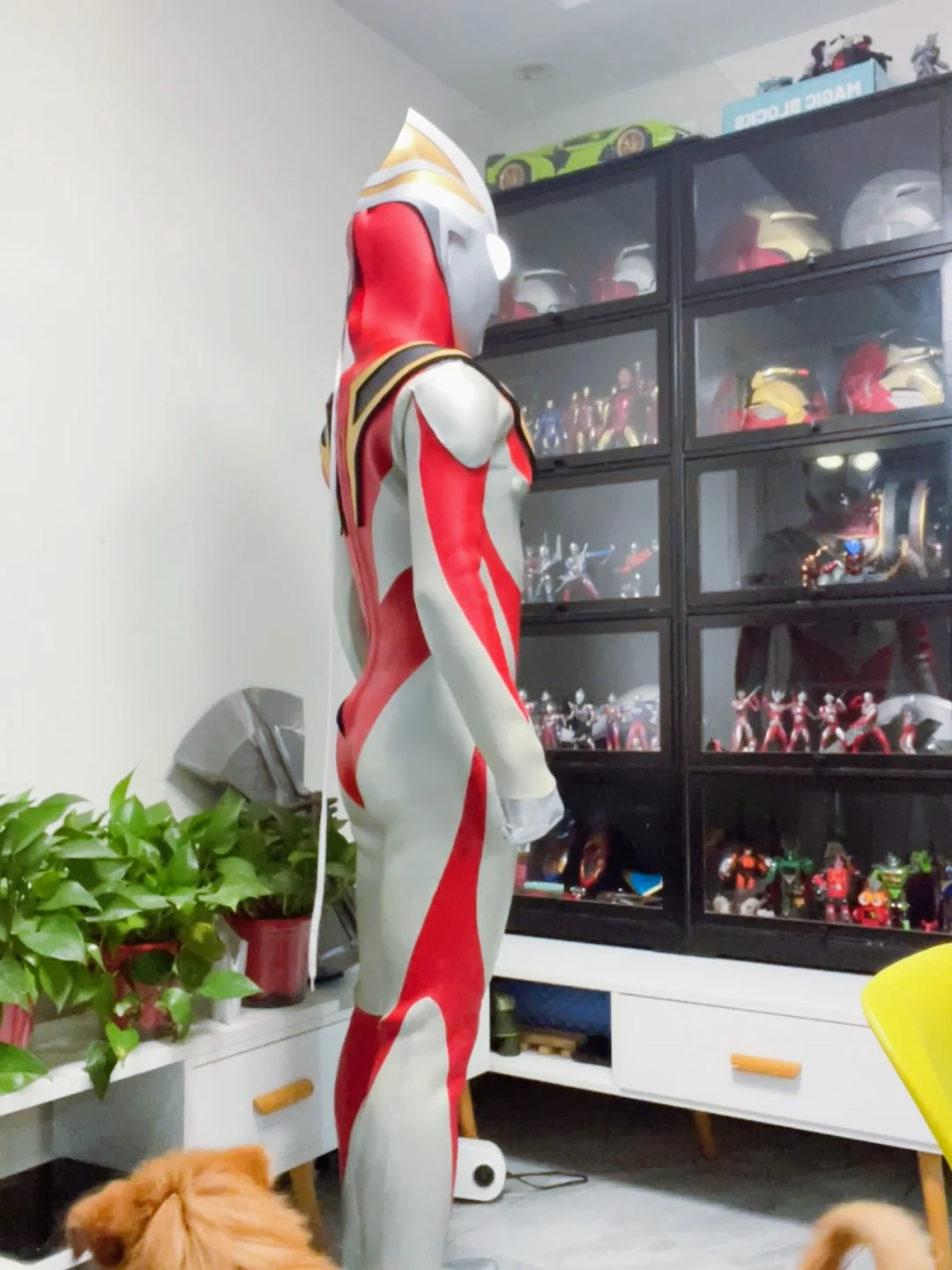 奥特曼穿比基尼？