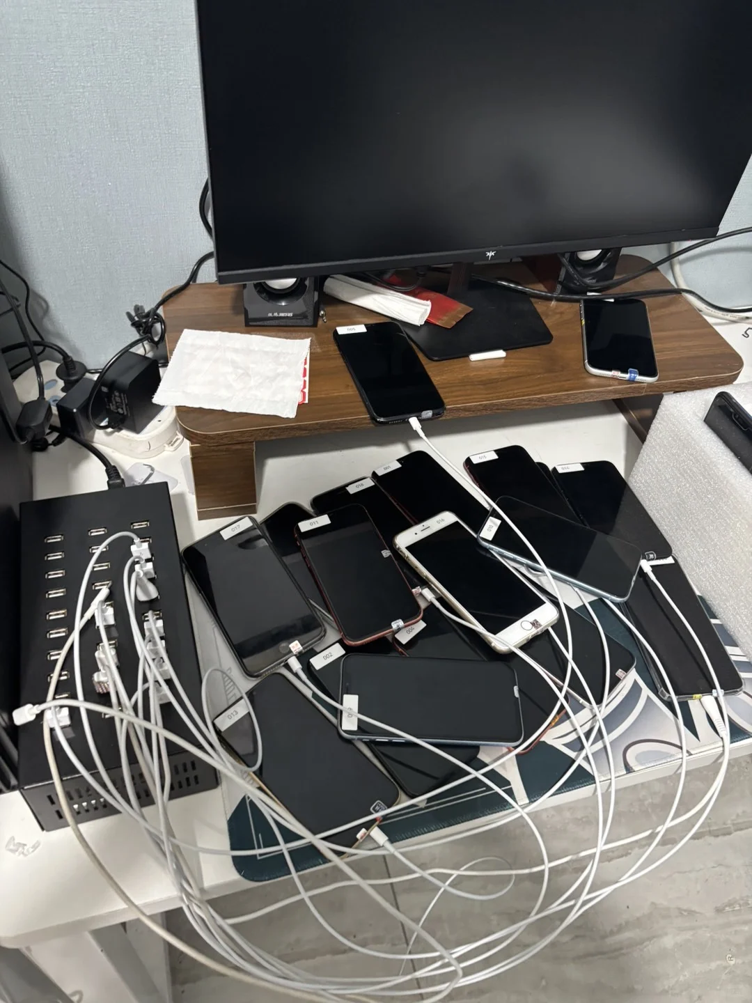开了一家跨境工作室
