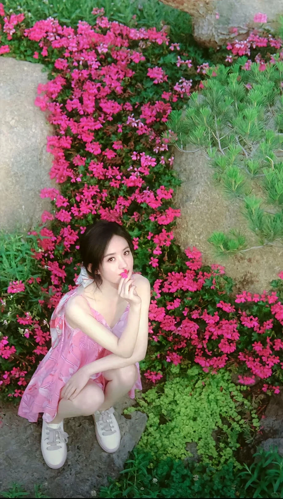 赵丽颖壁纸干净唯美篇