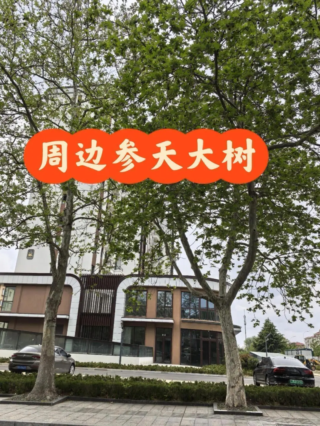 荣成市政府荔和园小区毛坯电梯新房出售