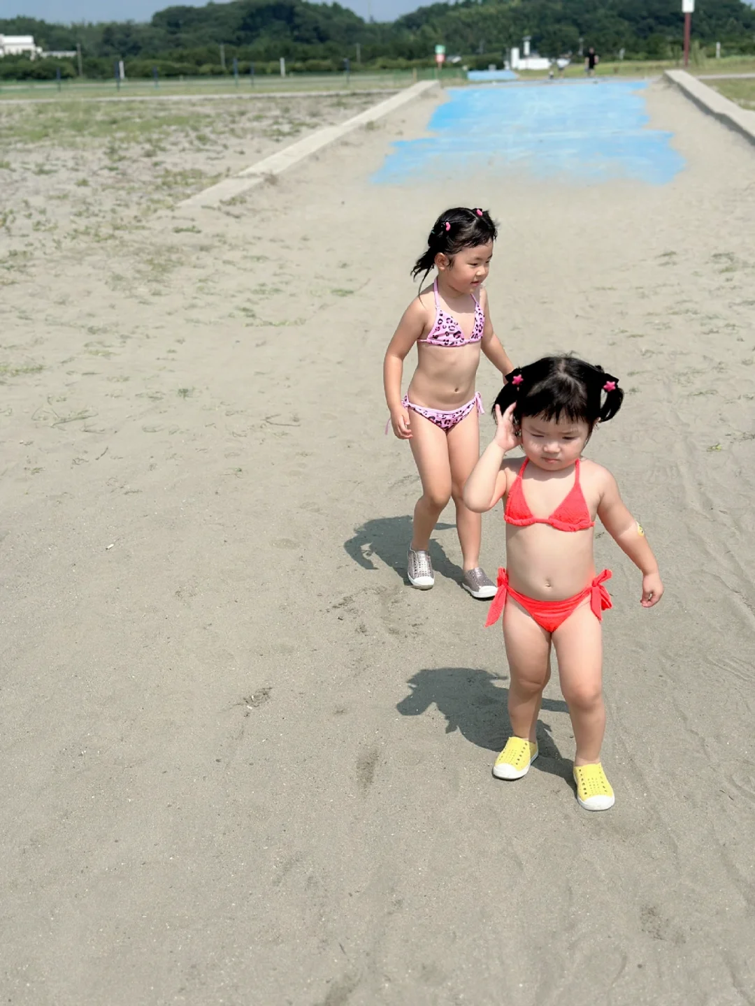 比基尼狗儿又来了👙