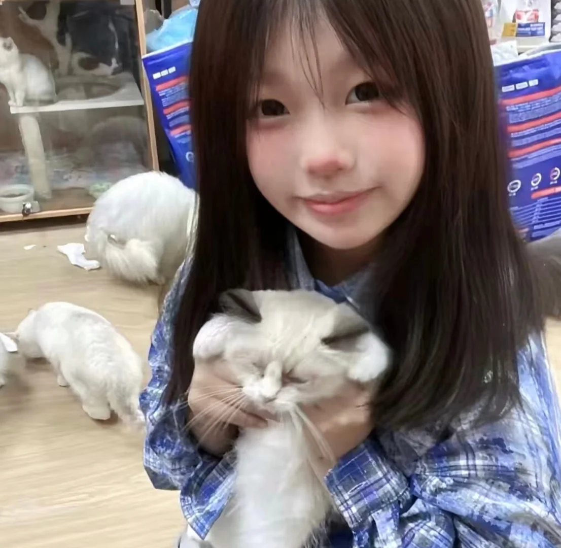iovoi幼澐小猫女头