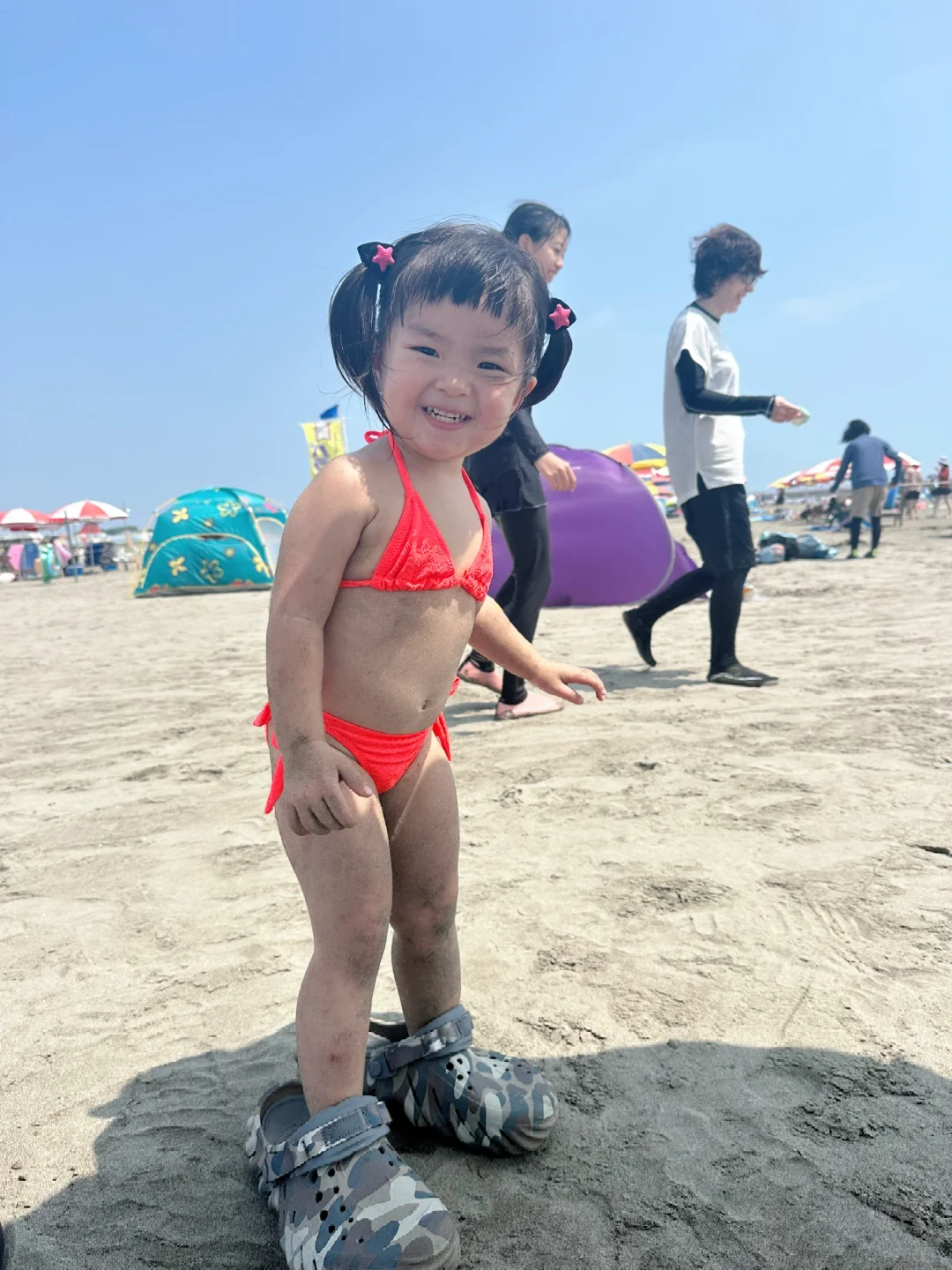 比基尼狗儿又来了👙