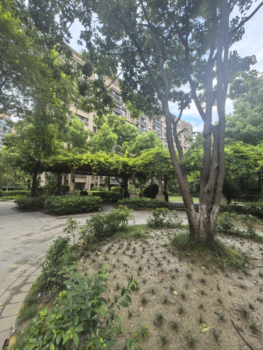 刚刚高层的同户型卖337 这套小高层少20万出