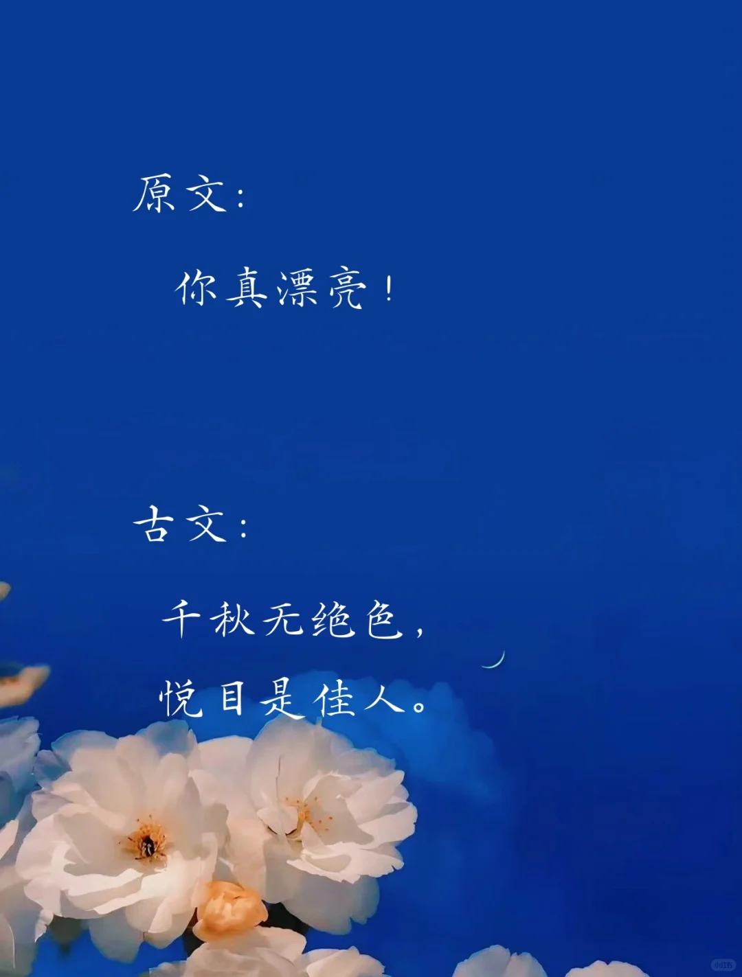 夸女孩子用的神仙句子