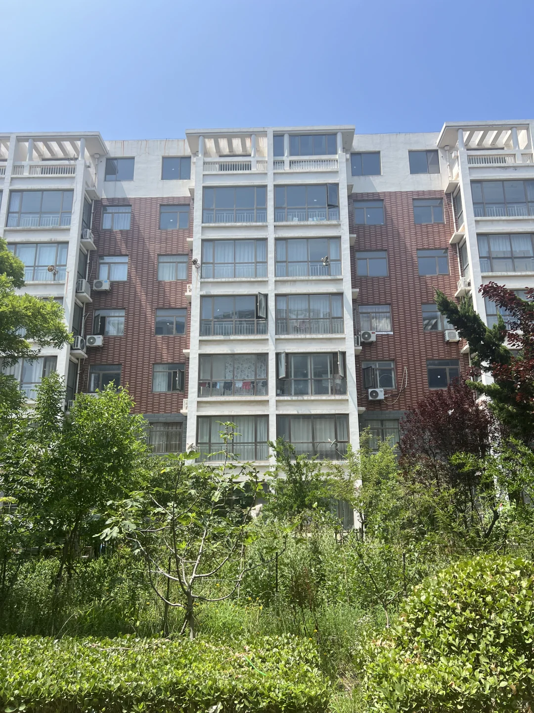 龙口东海名居1️⃣个小跃层出售哇