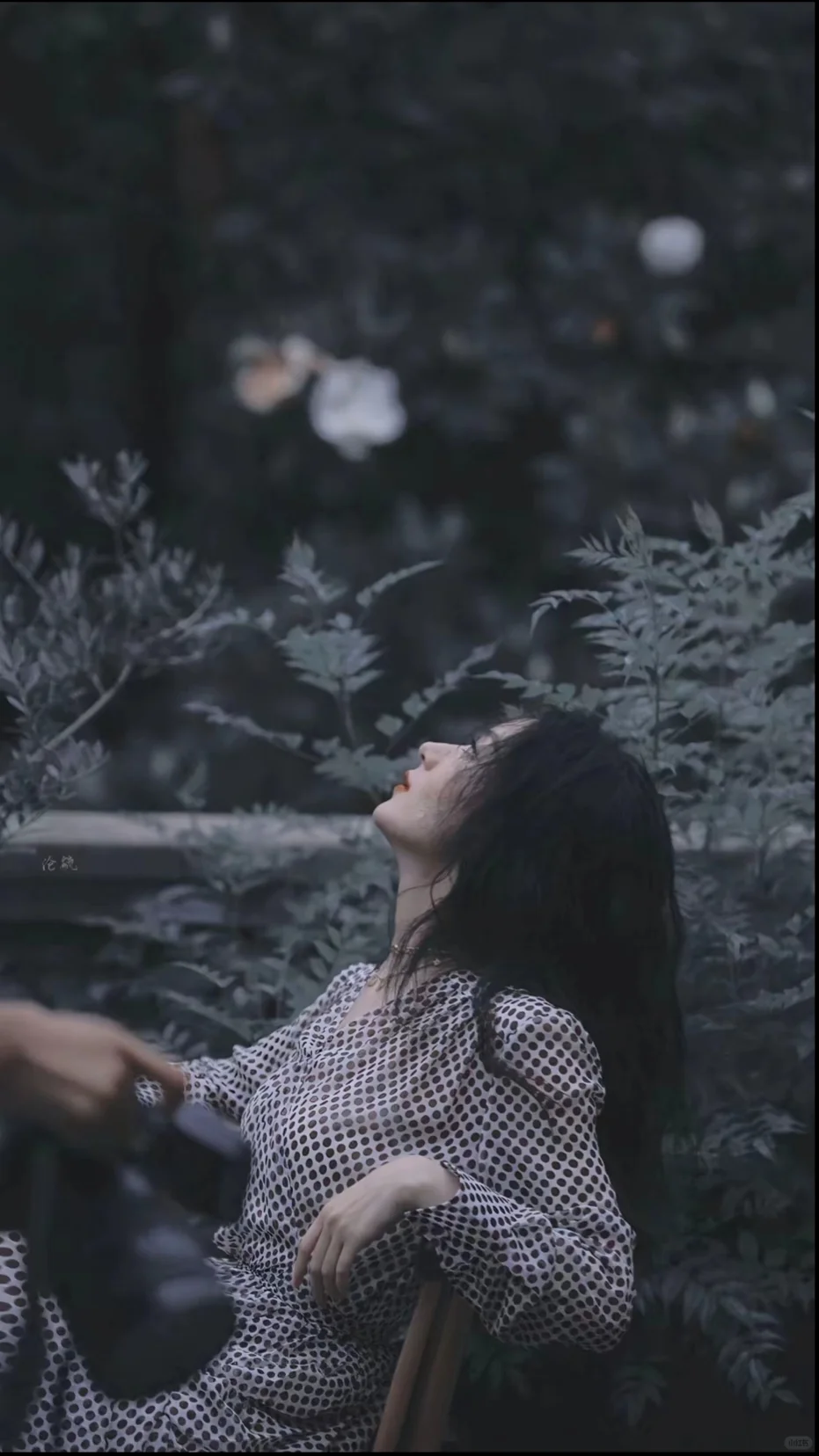 赵丽颖壁纸干净唯美篇