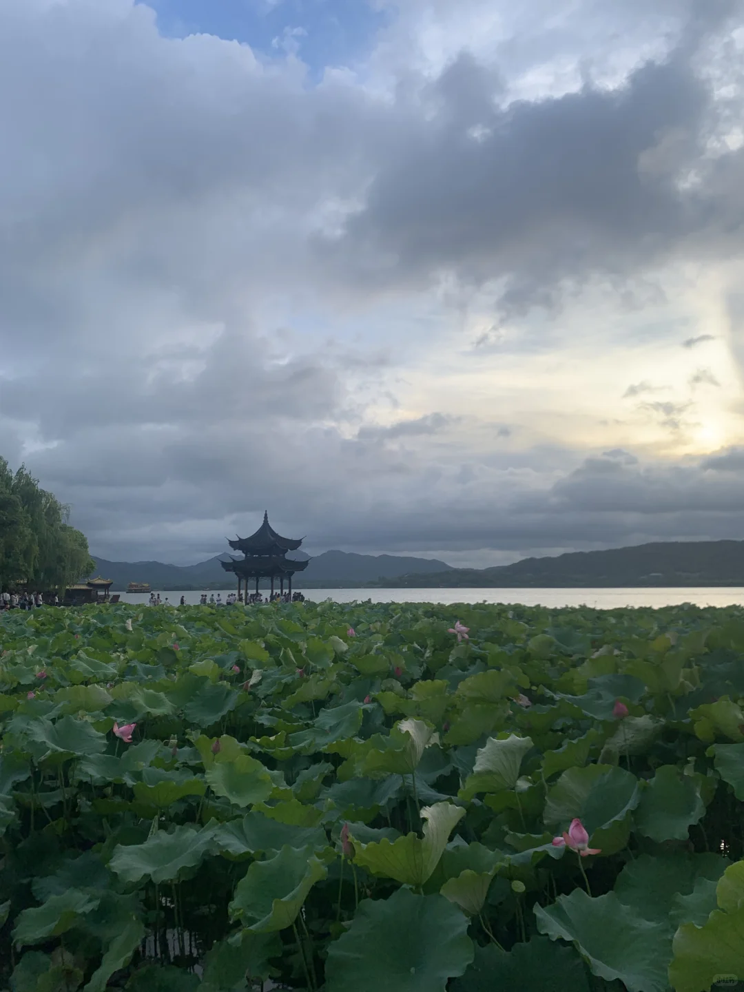 反向操作！电梯房换西湖边老破小我后悔了！