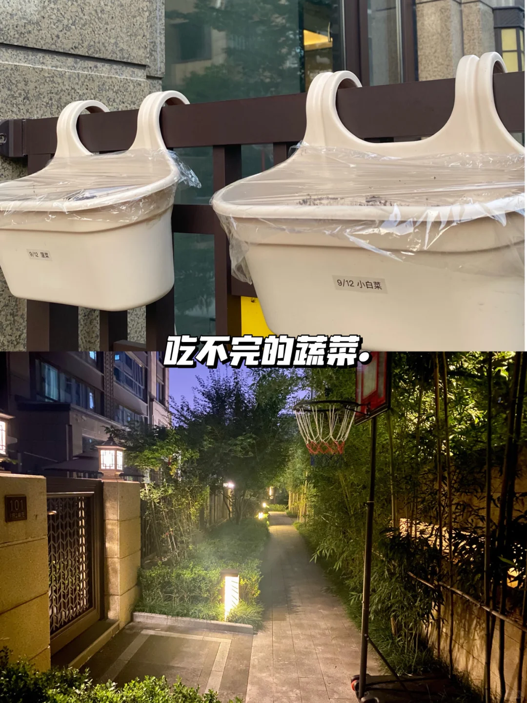 洋房装修|买一楼带院子的房子我开始后悔了