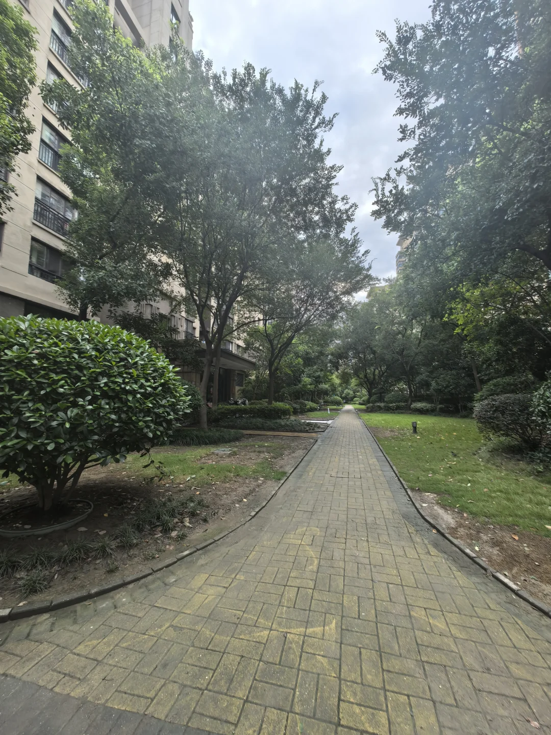 刚刚高层的同户型卖337 这套小高层少20万出