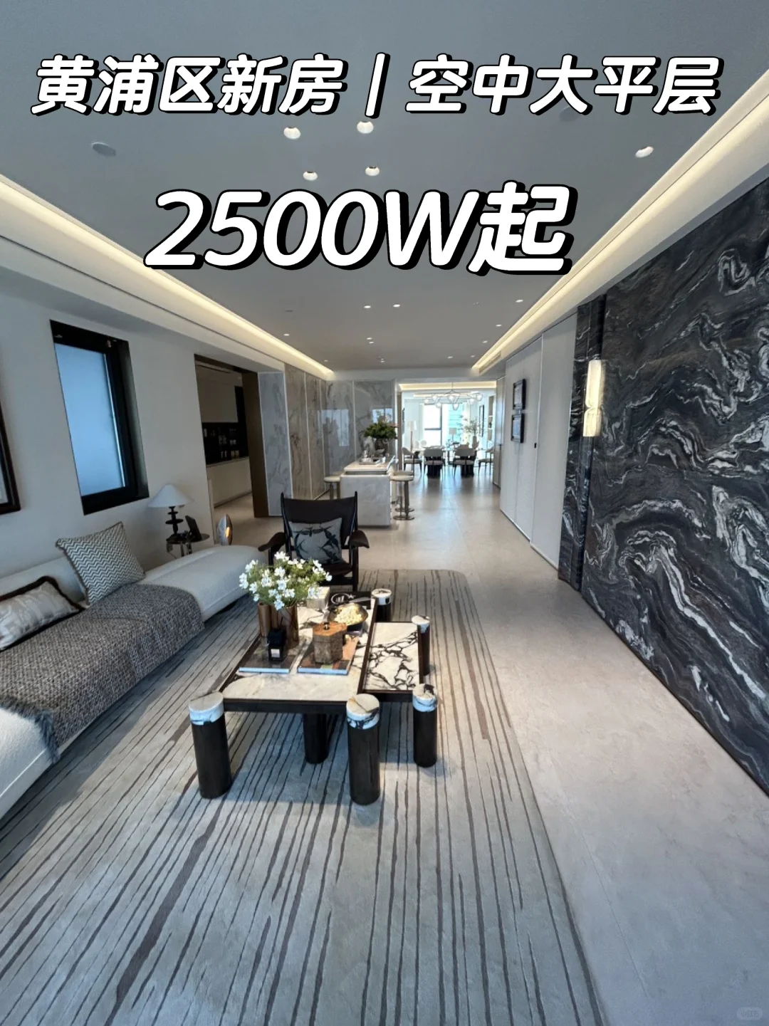 上海黄埔区新房|预算2500-2600万买房
