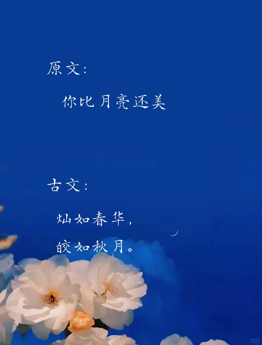 夸女孩子用的神仙句子