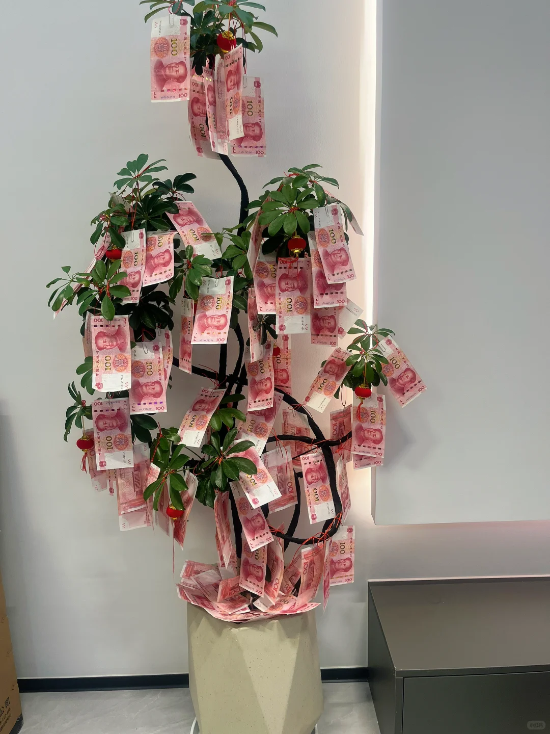 乔迁之喜搬新家啦，