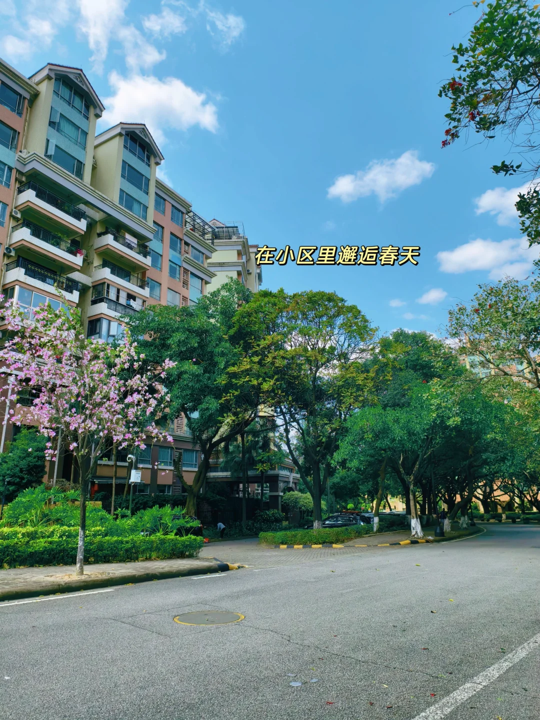逃离高层鸽子楼，选择了20年前的小洋房