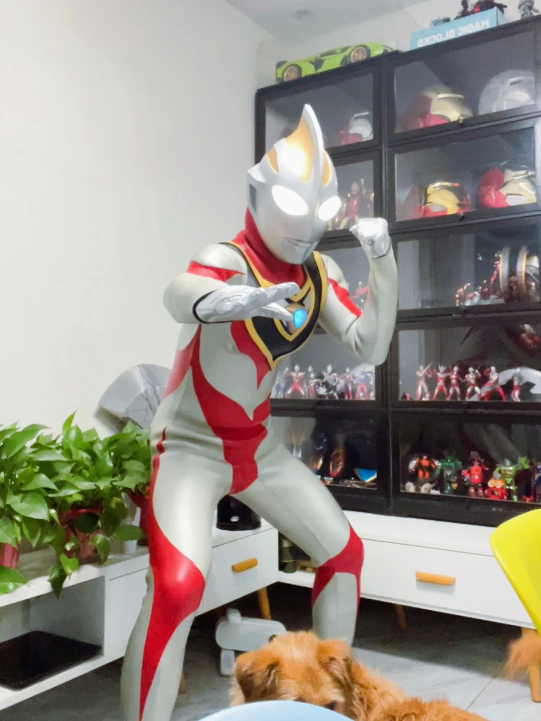 奥特曼穿比基尼？