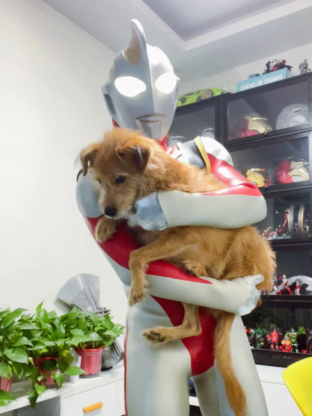 奥特曼穿比基尼？