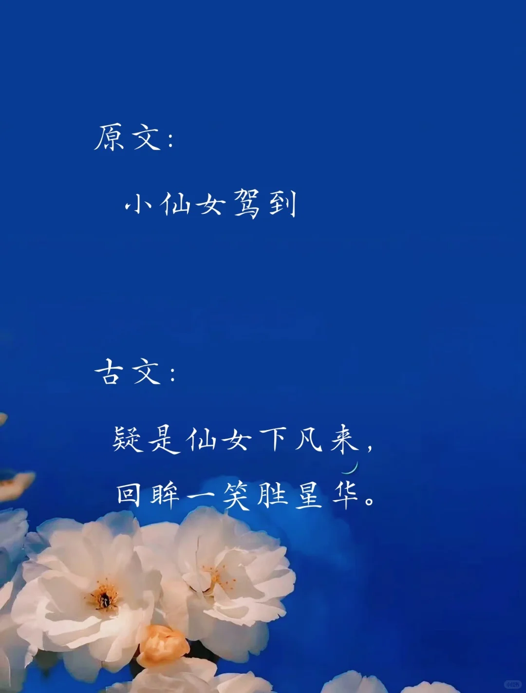夸女孩子用的神仙句子