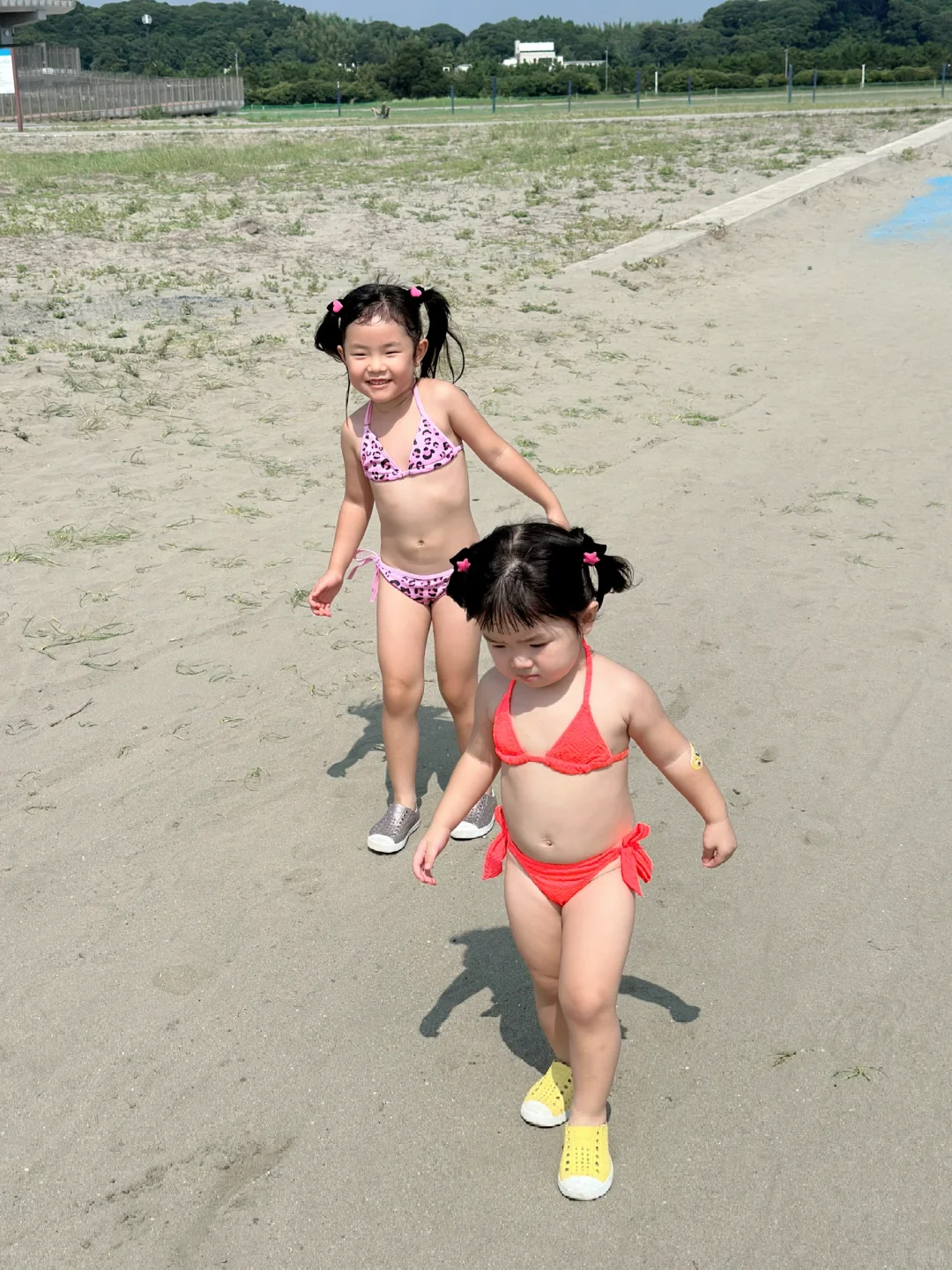 比基尼狗儿又来了👙