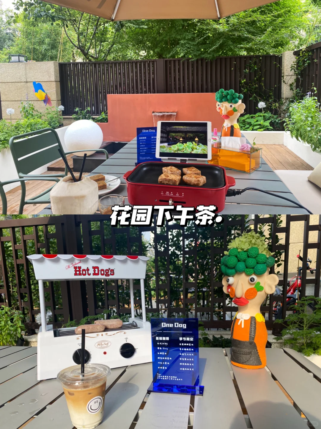 洋房装修|买一楼带院子的房子我开始后悔了