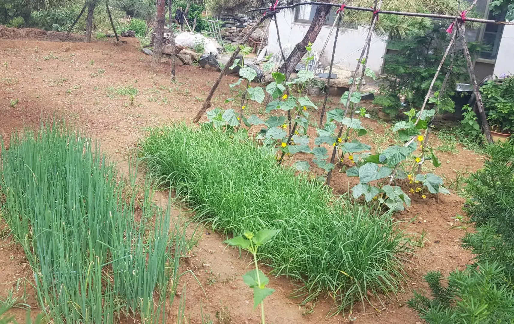 济南齐鲁风情8号线 出售楼房