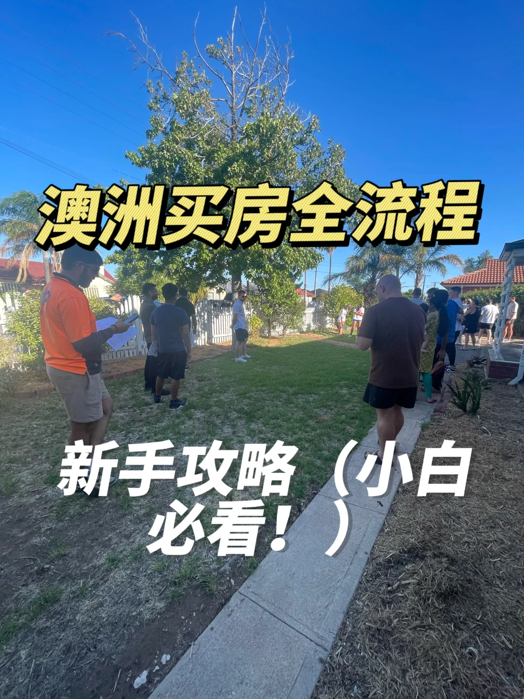 🏡澳洲买房全流程新手攻略（小白必看！）