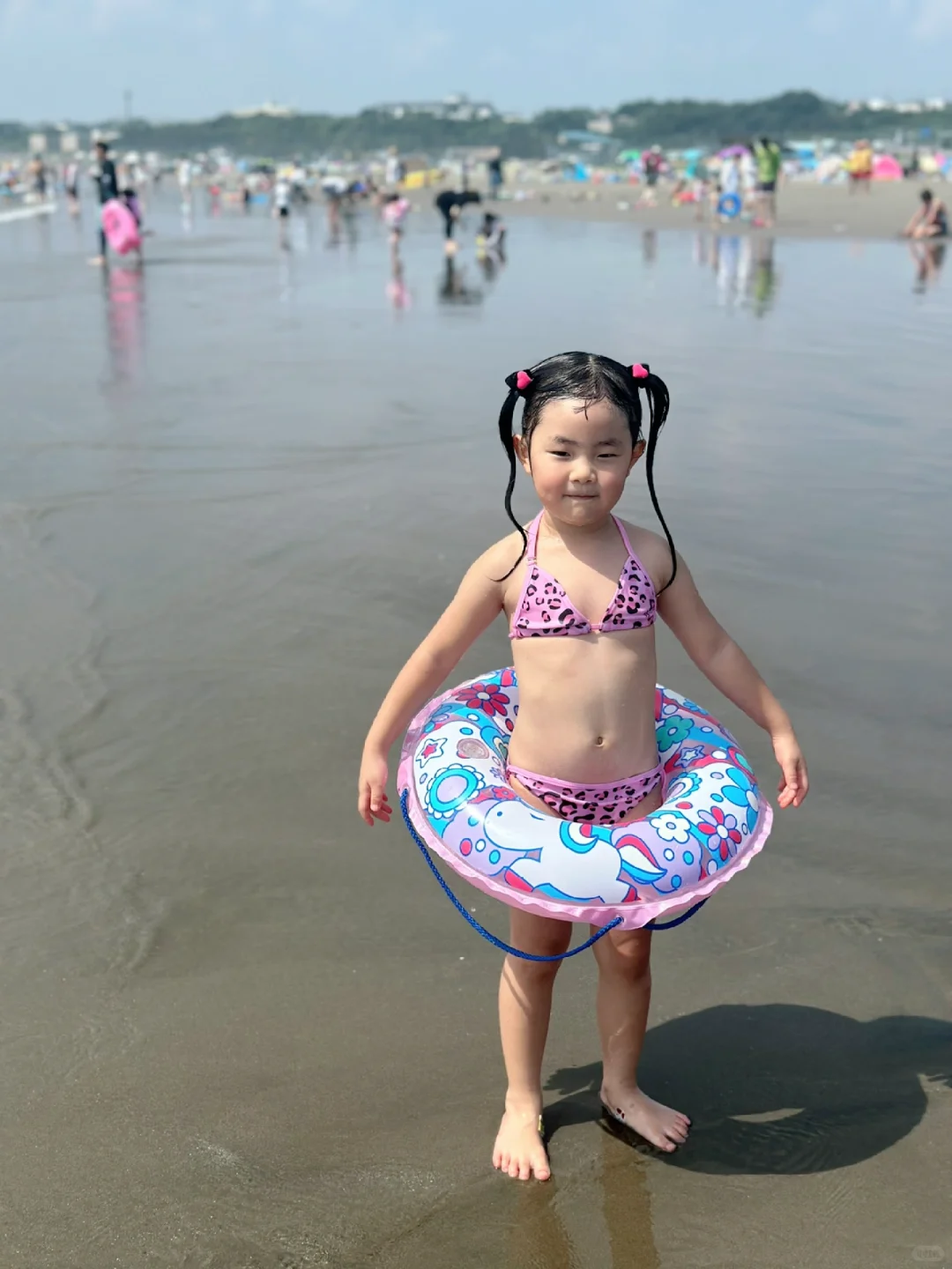 比基尼狗儿又来了👙