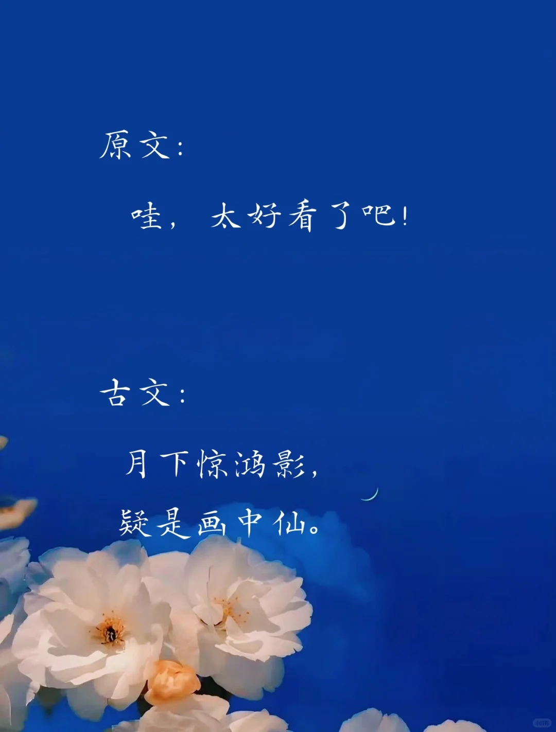夸女孩子用的神仙句子
