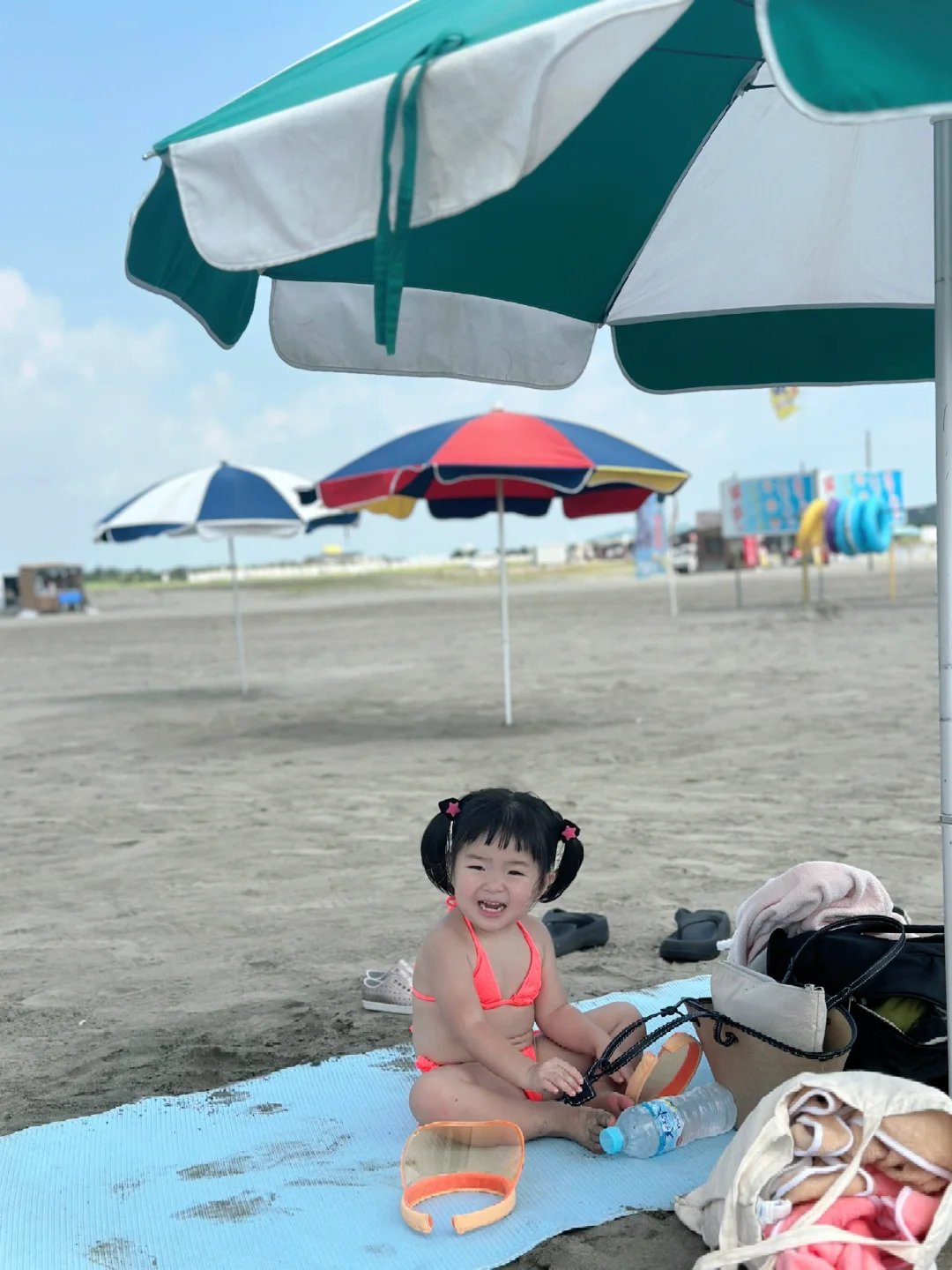 比基尼狗儿又来了👙