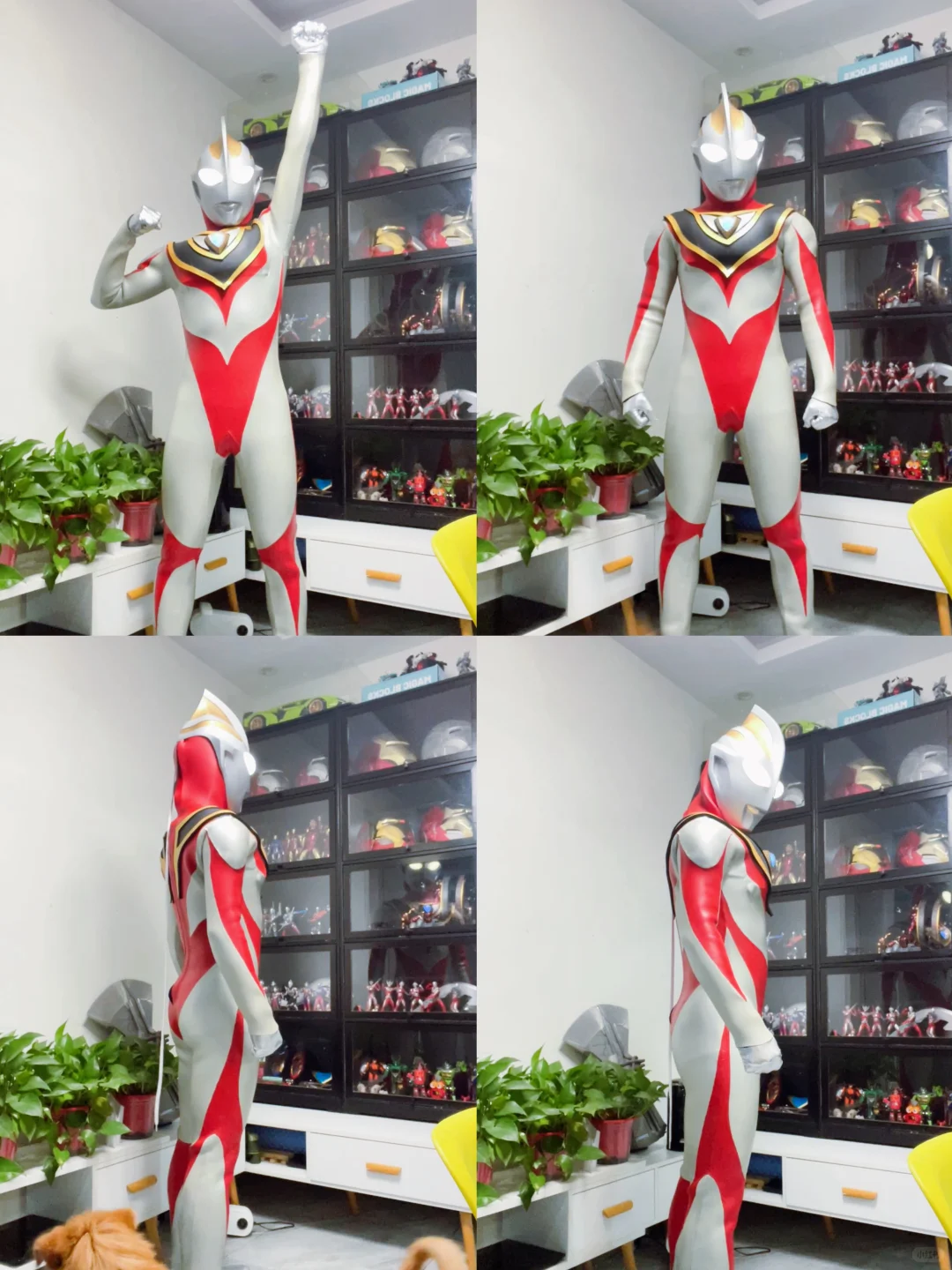 奥特曼穿比基尼？