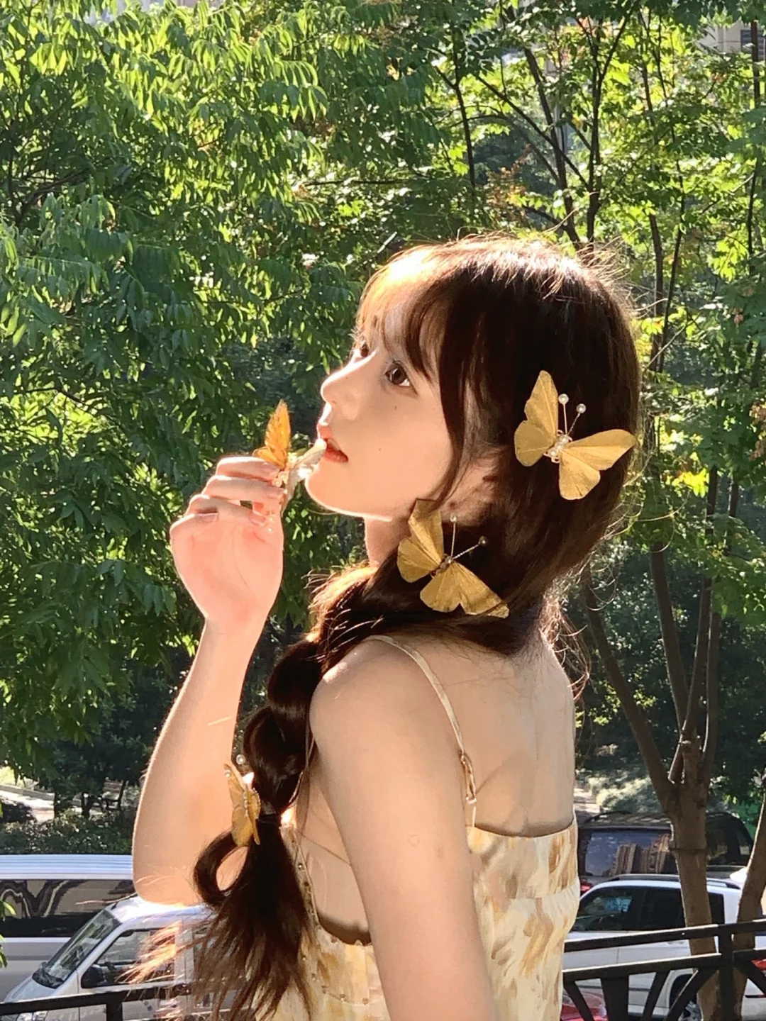对着蝴蝶许愿🦋图文版来了（附链接）