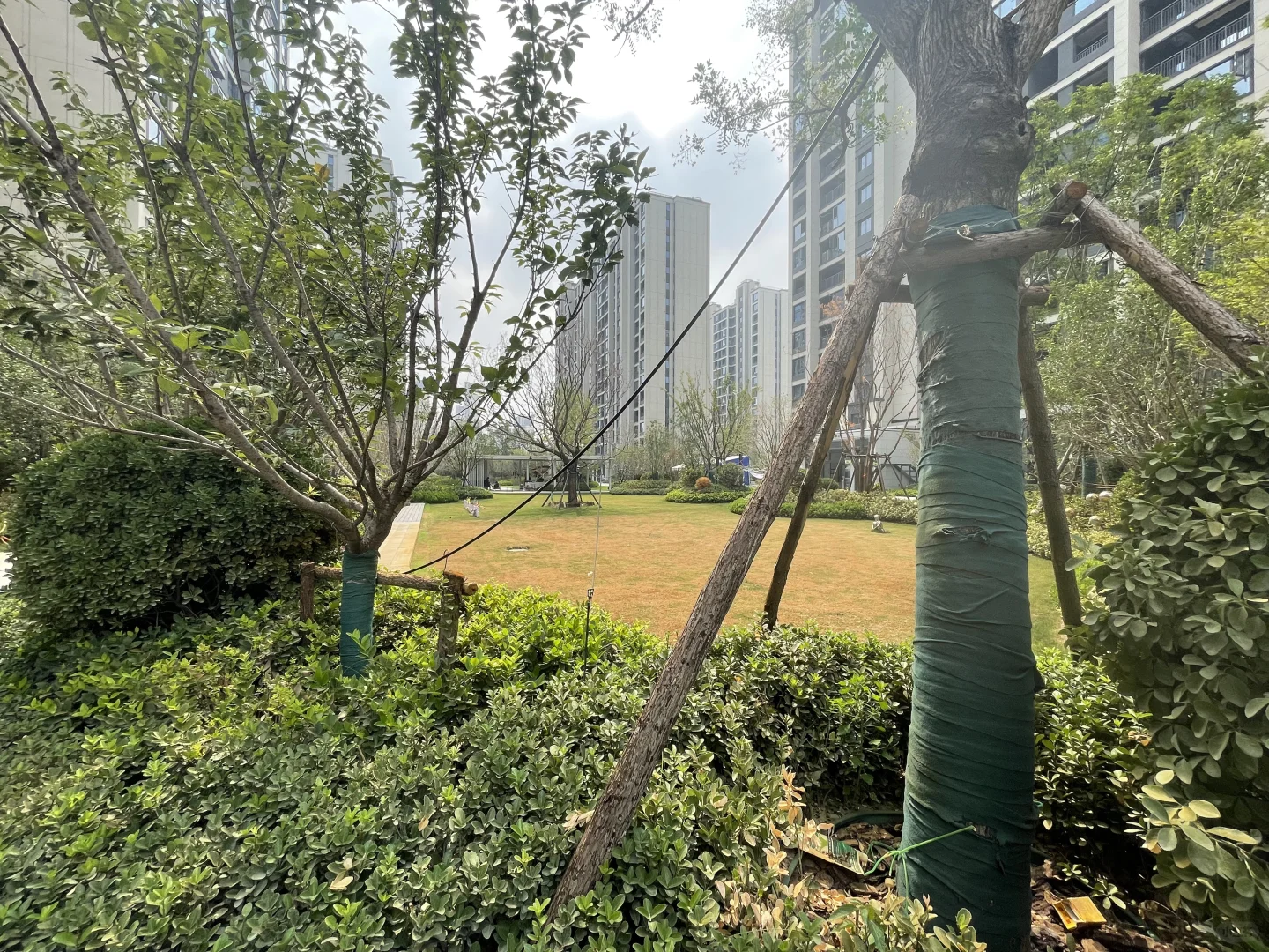 恭喜，喜提新房