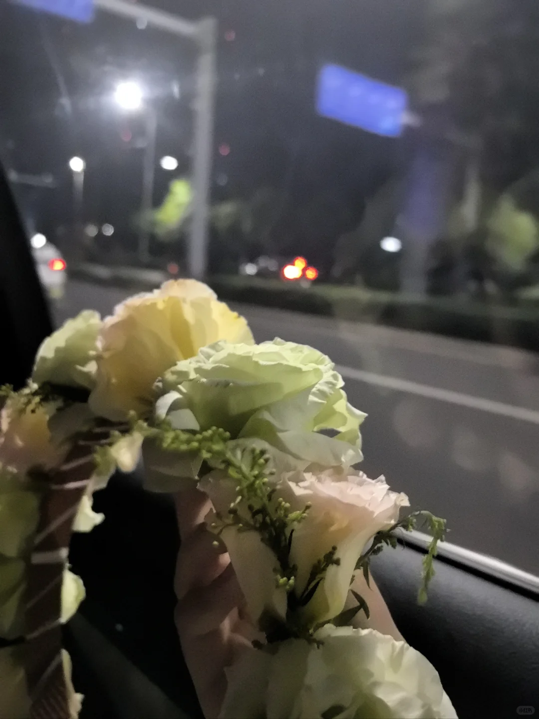 路灯明灭宛转 花朵愈加娇艳