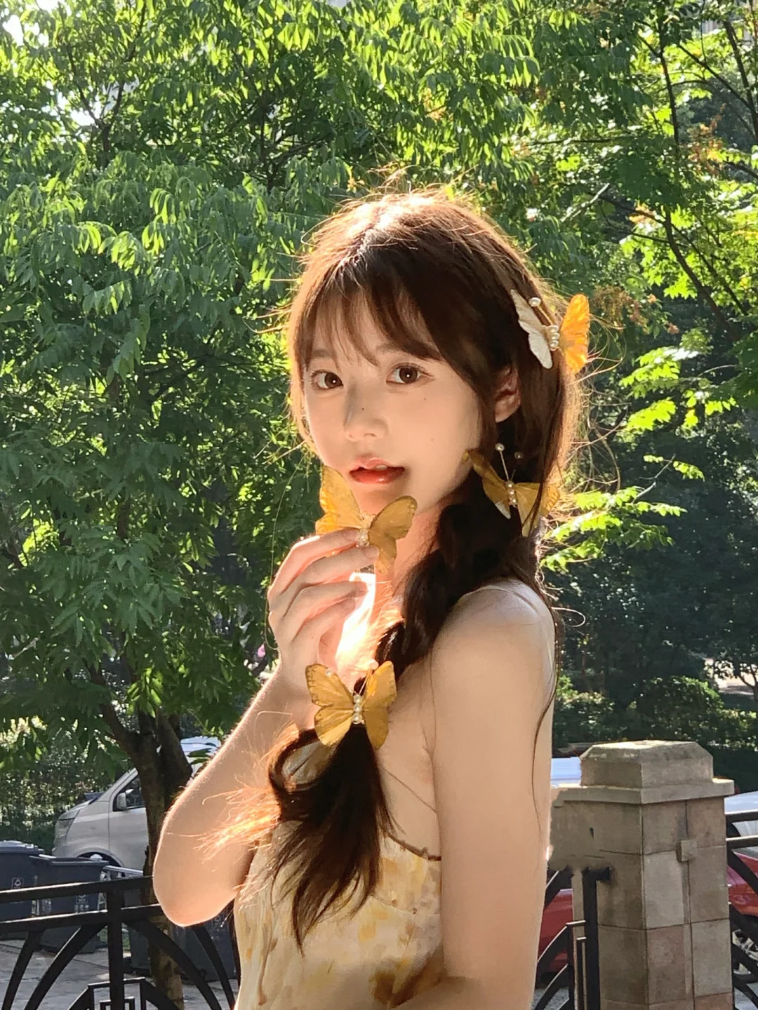 对着蝴蝶许愿🦋图文版来了（附链接）