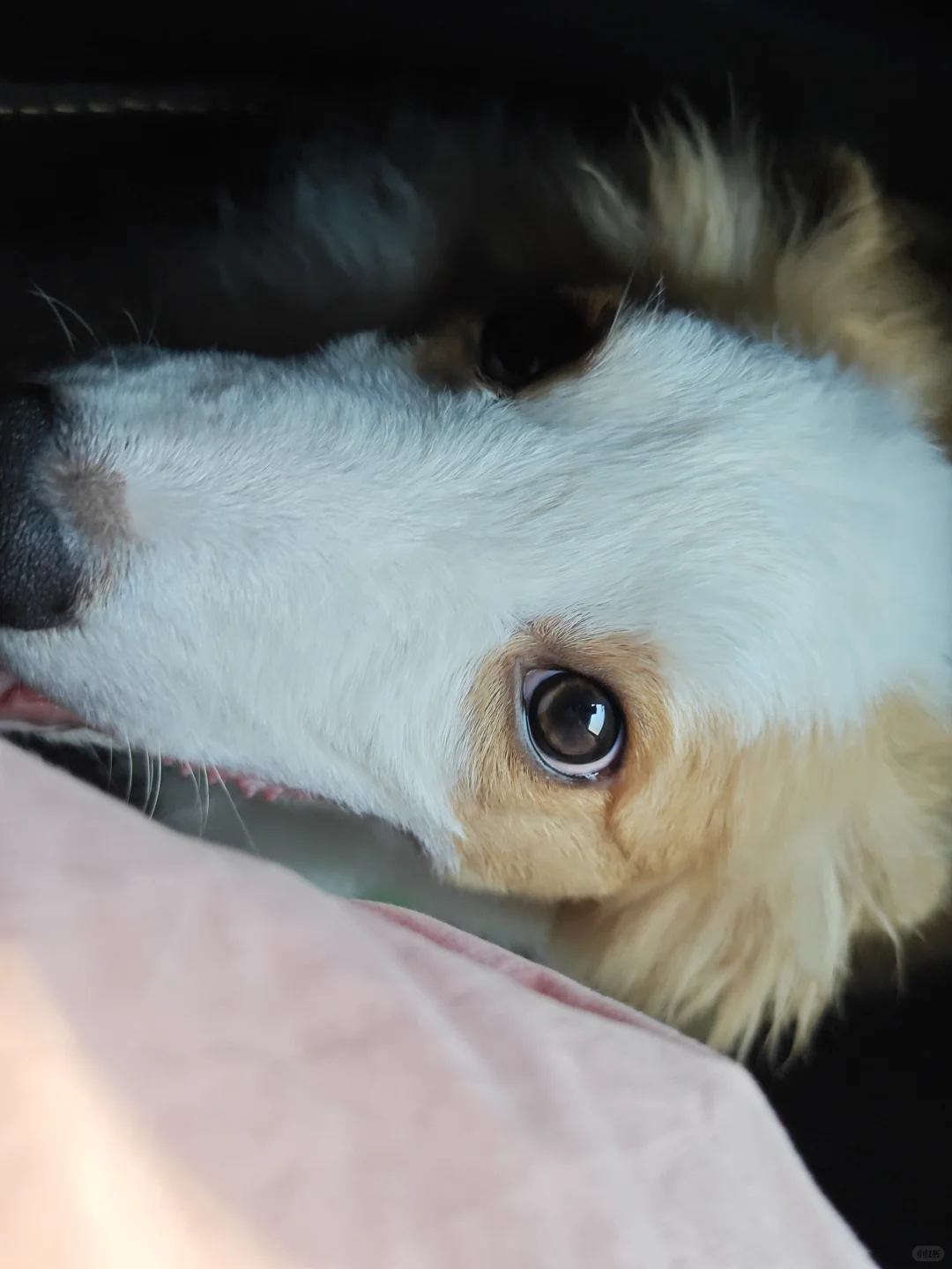 看少年媚眼如丝😍