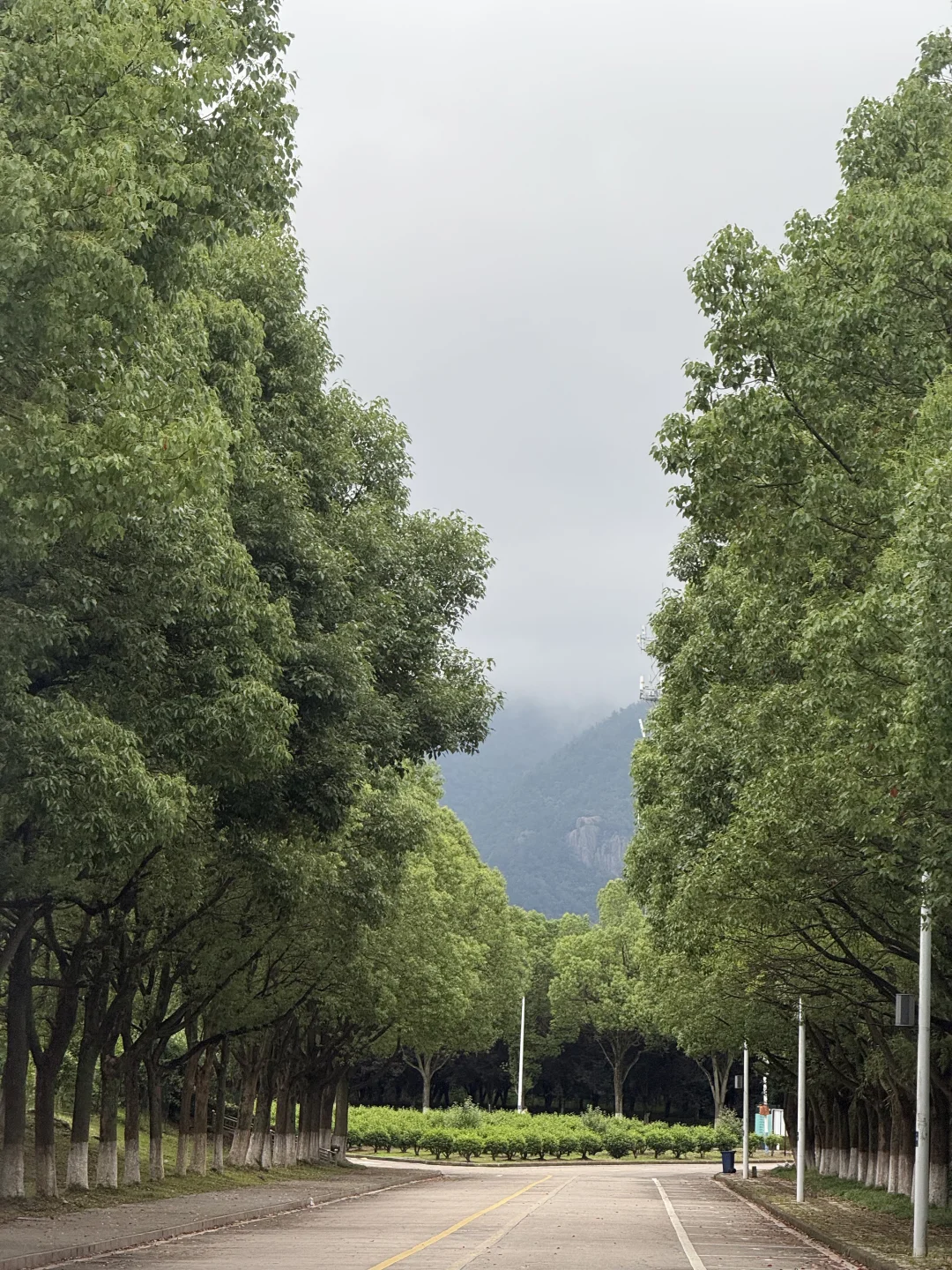 至此，我的学生时代正式落下帷幕。