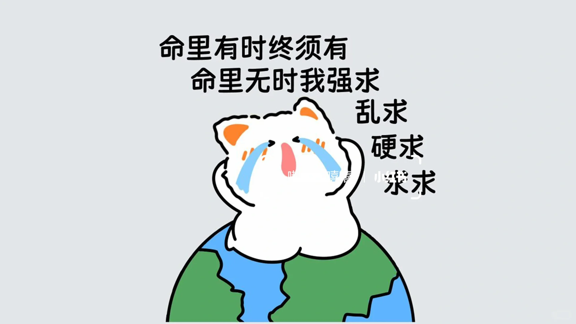 电脑壁纸｜通往富婆之路又开始咯