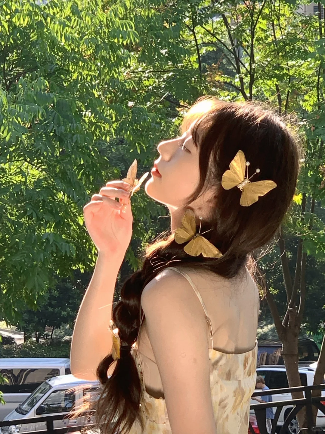 对着蝴蝶许愿🦋图文版来了（附链接）