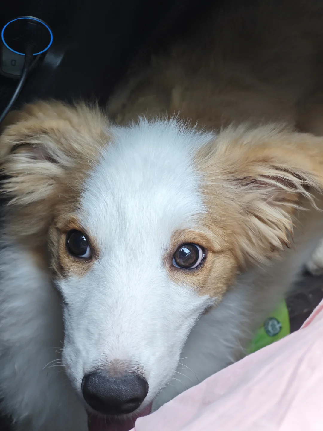 看少年媚眼如丝😍