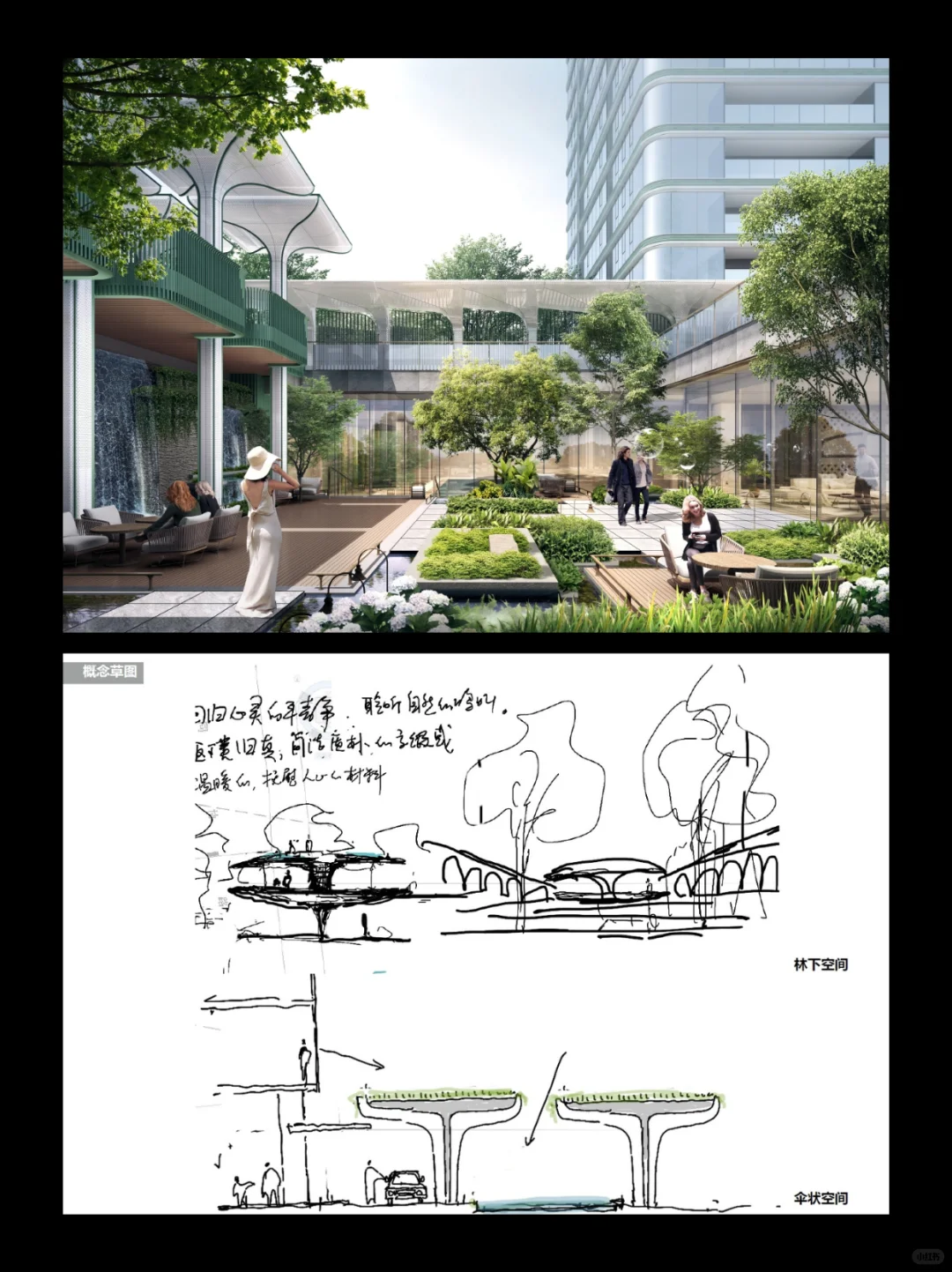 杭州卷王，芝澜月华