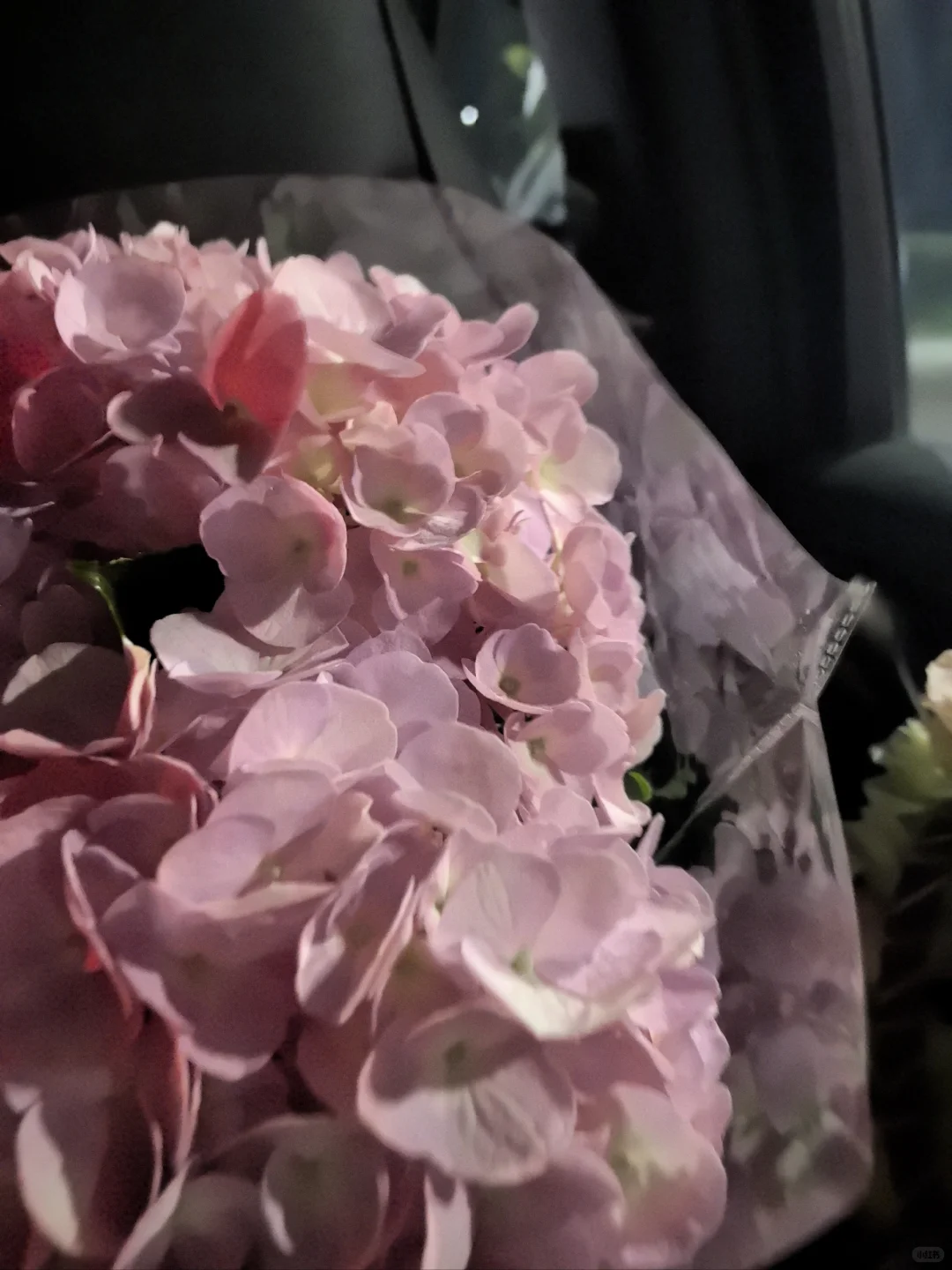 路灯明灭宛转 花朵愈加娇艳