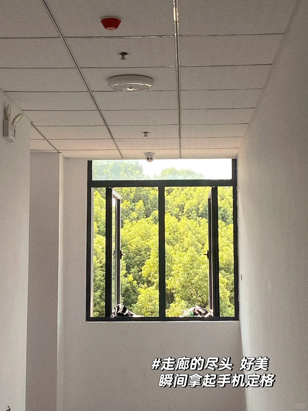 读研plog ｜27岁女大学生的读研日常碎片