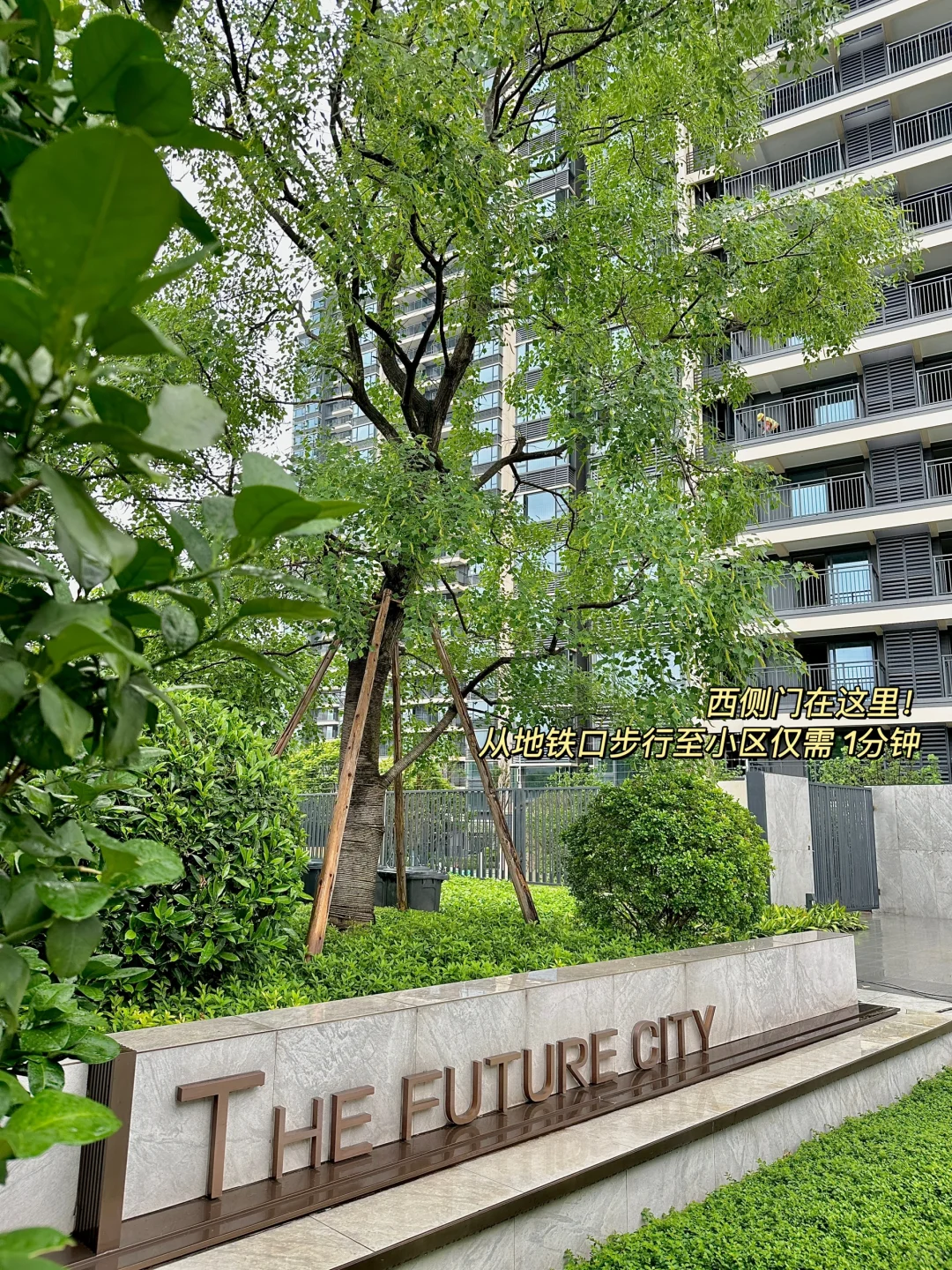 来看我的新家啦 小区园林美得好超过✨