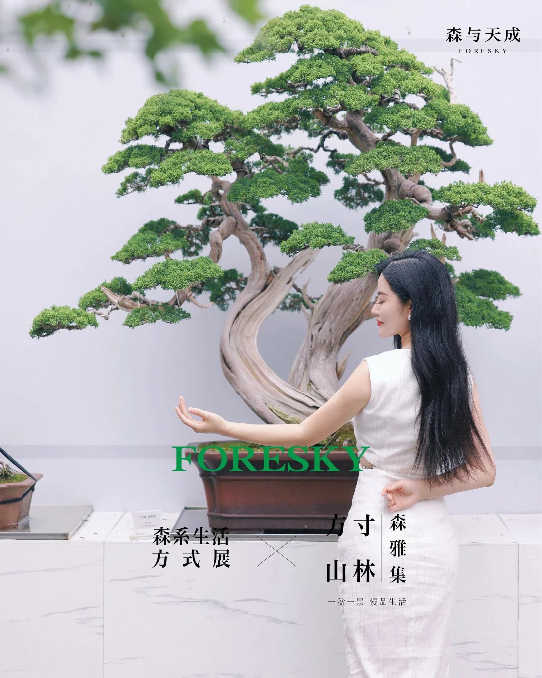 🌳 住进“悬浮森林”，金融卷王秒变疗愈系